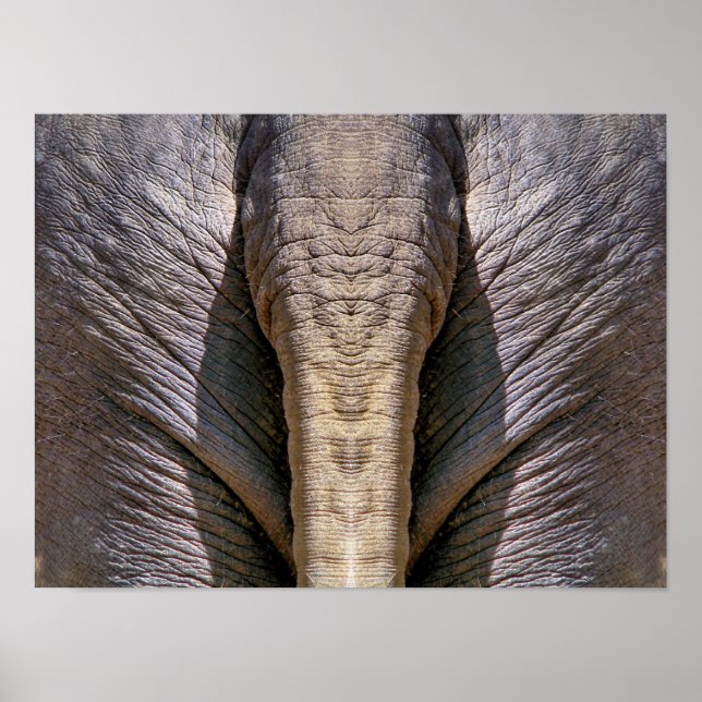 ELEPHANT FUN POSTER (Front)