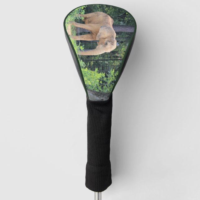 Elephant Golf Head Cover (Front)