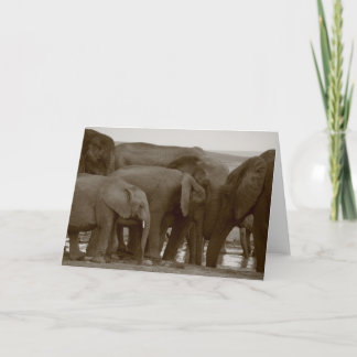 Elephant Greeting Cards for a Cause