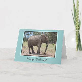 Elephant Happy Birthday Card