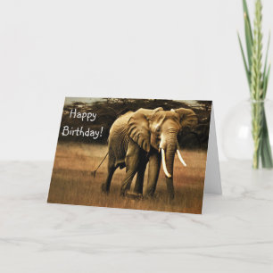 Elephant Happy Birthday! Thank You Card