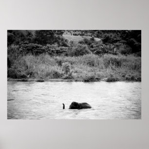 Elephant having a bath - Canvas Print