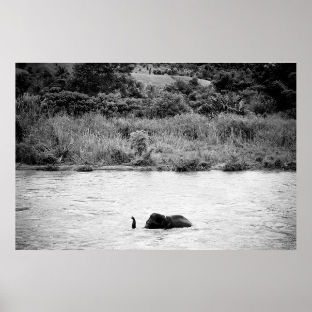Elephant having a bath - Canvas Print (Front)