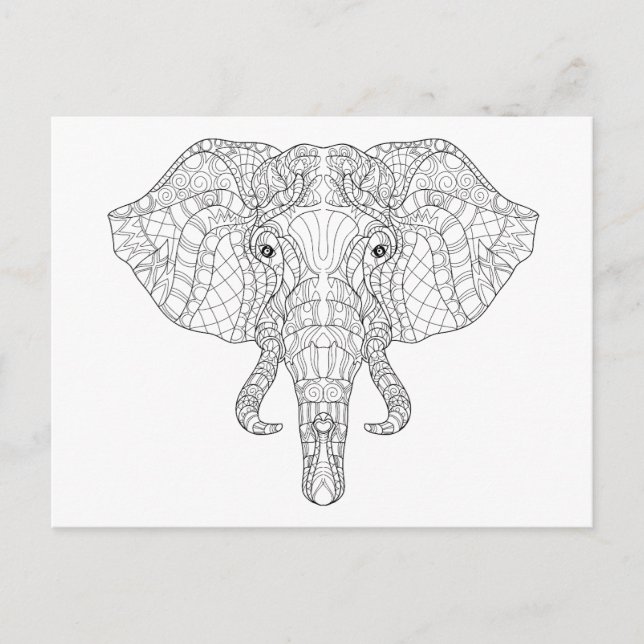 Elephant Head Doodle 2 Postcard (Front)