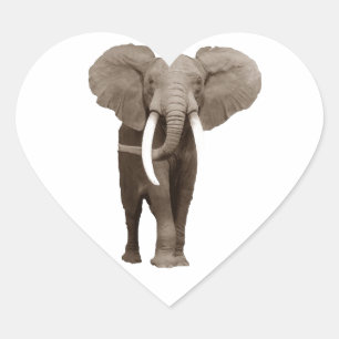 Elephant Heart Sticker