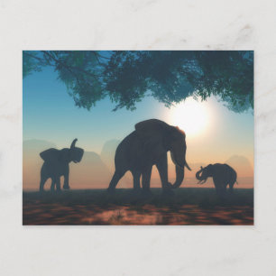 Elephant herd postcard