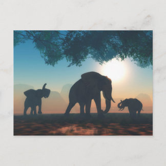 Elephant herd postcard