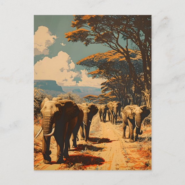 Elephant herd Vintage Postcard (Front)