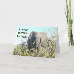 ELEPHANT/"I Never Forget A Birthday"/BELATED BIRTH Card
