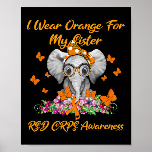 Elephant I Wear Orange For My Sister Rsd Crps Awar Poster
