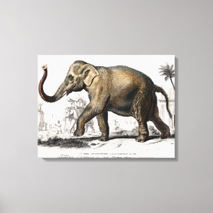 Elephant Illustration Vintage Art Print