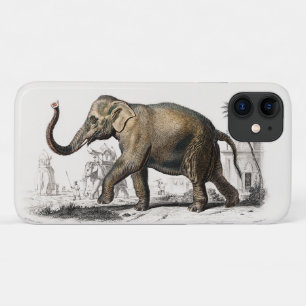 Elephant Illustration Vintage Art Print iPhone 11 Case