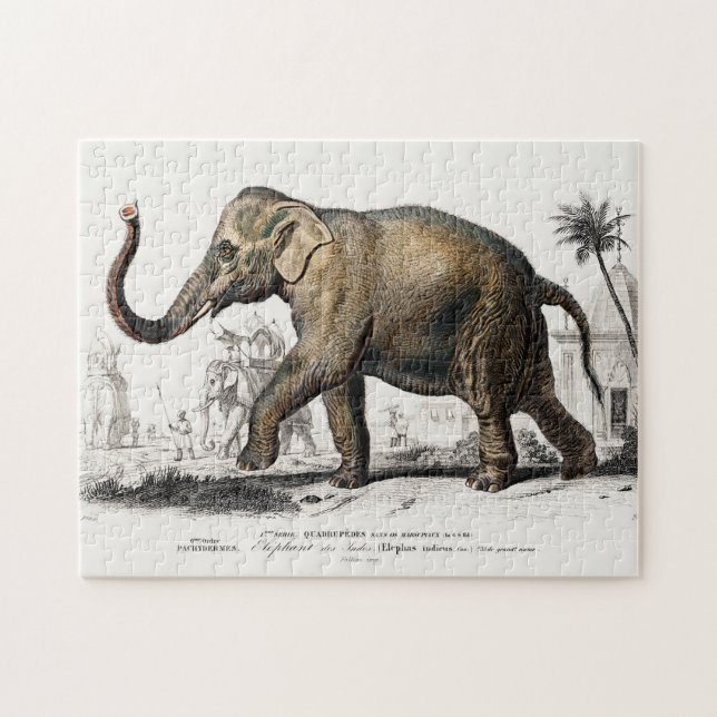 Elephant Illustration Vintage Art Print Jigsaw Puzzle (Horizontal)