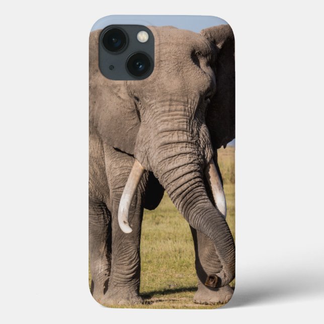 Elephant in an Aggressive Pose Case-Mate iPhone Case (Back)