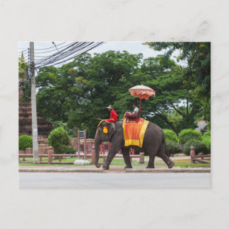 Elephant in Ayutthaya Thailand Postcard