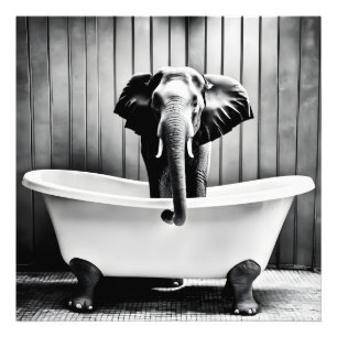 Elephant in bath photo print