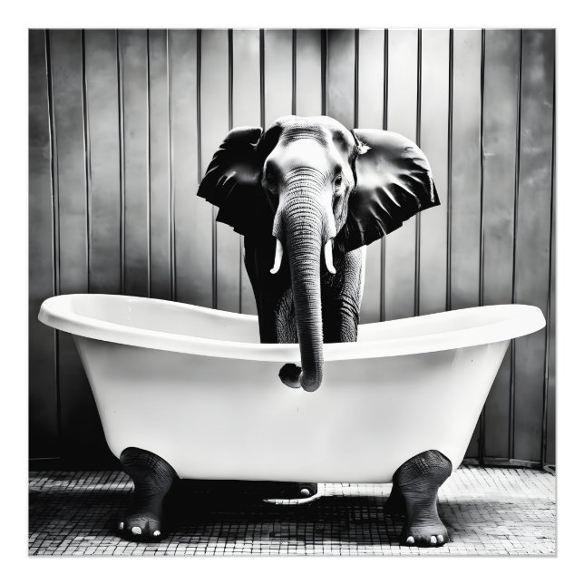 Elephant in bath photo print (Front)