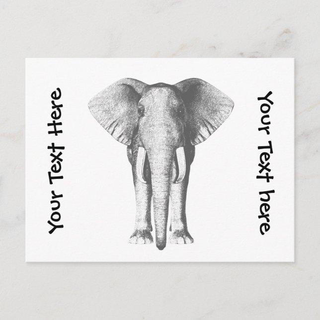 Elephant in Black and White Postcard (Front)