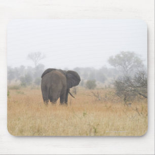 Elephant in early morning fog, Kruger National Mouse Mat