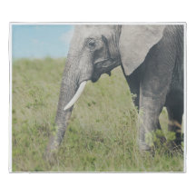Elephant in Habitat Duvet Cover