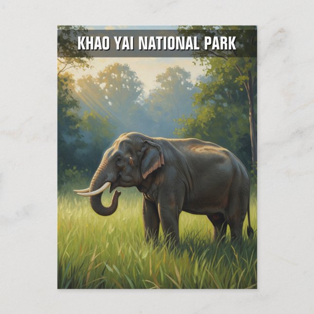 Elephant in Khao Yai National Park Thailand Postcard (Front)