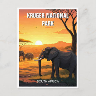 Elephant in Kruger National Park South Africa Postcard