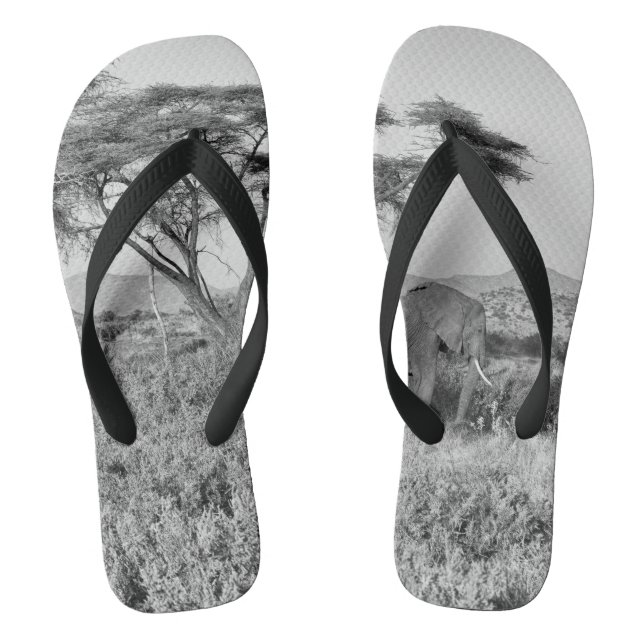 Elephant in Samburu Flip Flops (Footbed)