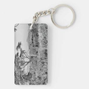 Elephant in Samburu Key Ring