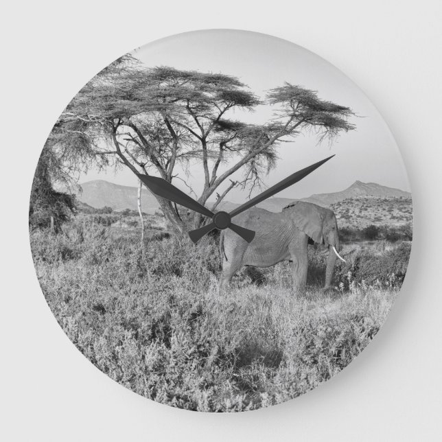 Elephant in Samburu Large Clock (Front)
