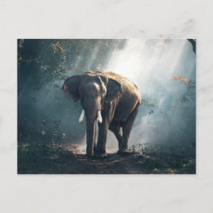 Elephant in the Jungle Postcard