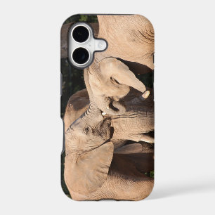 Elephant Love