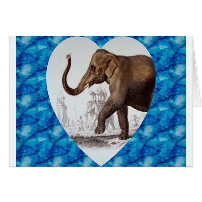 Elephant Love (Front Horizontal)
