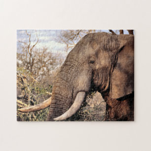 Elephant Love 2 Jigsaw Puzzle
