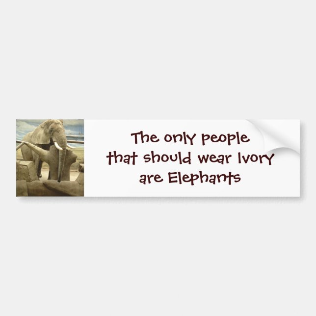 Elephant Love Bumper Sticker (Front)
