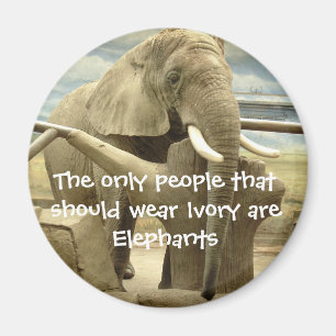 Elephant Love Magnet