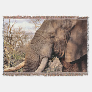 Elephant Lover Art Throw Blanket