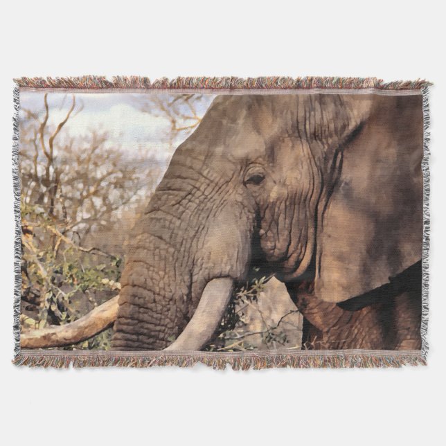 Elephant Lover Art Throw Blanket (Front)