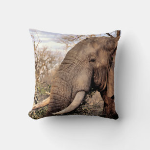 Elephant Lovers Art Cushion