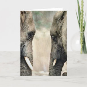 Elephant Lovers Art Gifts Card