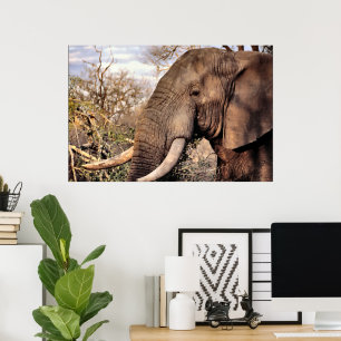 Elephant Lovers Art Poster