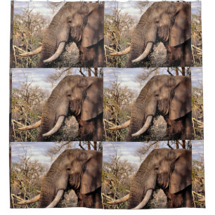 Elephant Lovers Art Shower Curtain