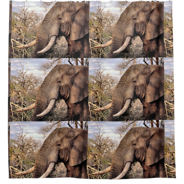 Elephant Lovers Art Shower Curtain (Front)