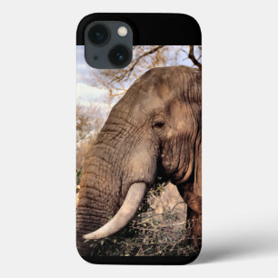 Elephant Lovers iPhone 13 Case
