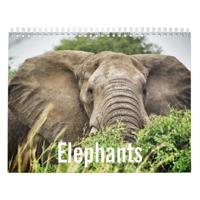 Elephant Lovers, Elephant Colour Photographs Calendar (Cover)