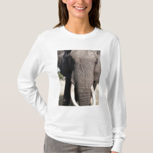 Elephant (Loxodonta africana), Abu Camp 3 T-Shirt