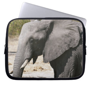 Elephant (Loxodonta africana), Savute Channel Laptop Sleeve