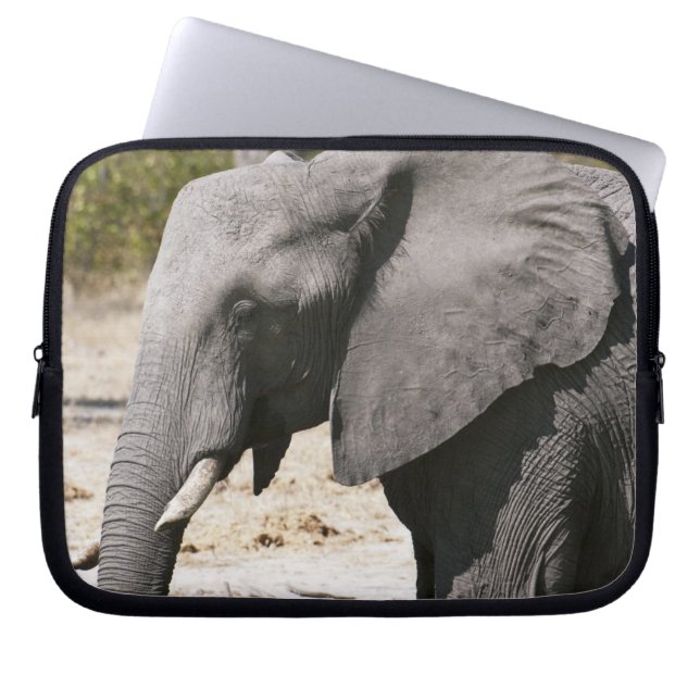 Elephant (Loxodonta africana), Savute Channel Laptop Sleeve (Front)