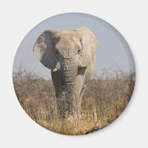 Elephant Magnet