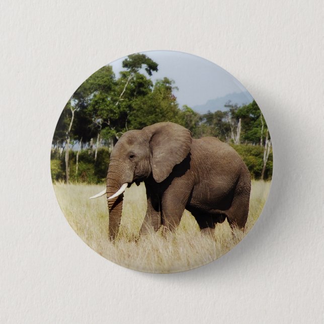 Elephant Masai Mara, Kenya badge button (Front)