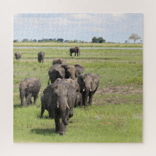 Elephant Migration Jigsaw Puzzle